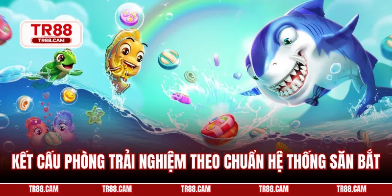 Kết cấu phòng trải nghiệm theo chuẩn hệ thống săn bắt